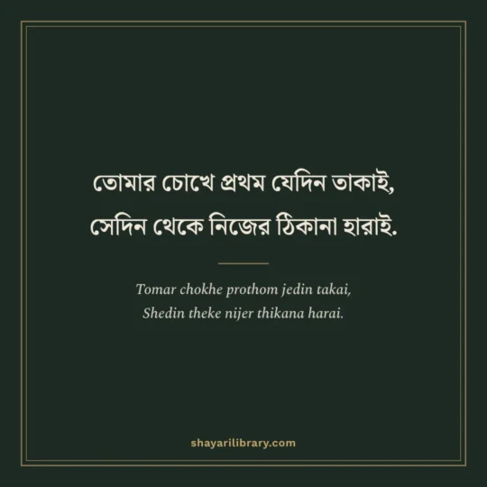 Bengali Shayari photo: Tomar chokhe prothom jedin takai