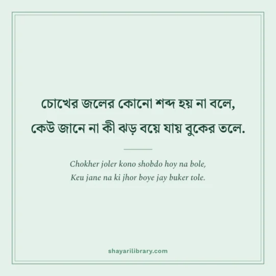 Bengali Shayari photo: Chokher joler kono shobdo hoy na bole