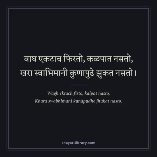 Marathi Shayari photo: Wagh ektach firto, kalpat nasto